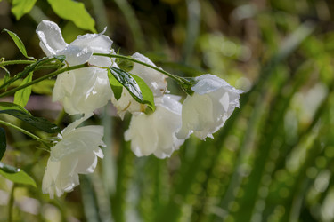 Similar image 20983252