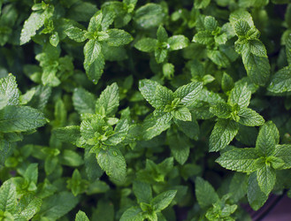 Similar image 21015717