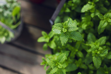 Similar image 21015718