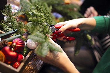 Similar image 21004519