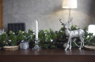 Similar image 21004523