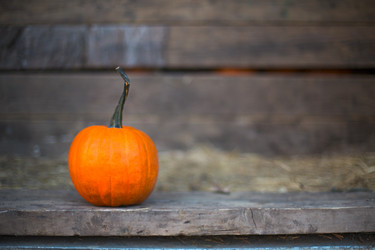 Similar image 21015604