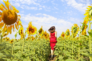 Similar image 20977620