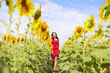 Similar image 21003493