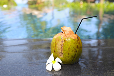 Similar image 21016025