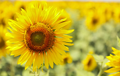 Similar image 20977624