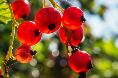 Similar image 20979265