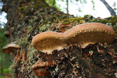 Similar image 20985216