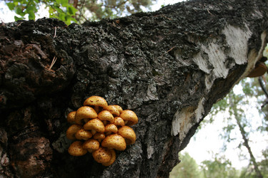 Similar image 20985219