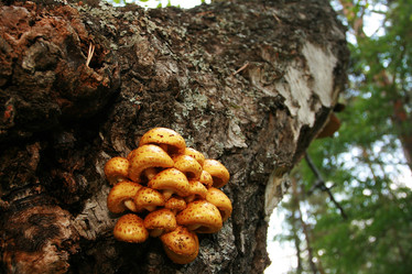 Similar image 20985220