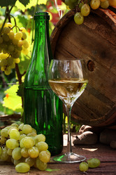 Similar image 20994864