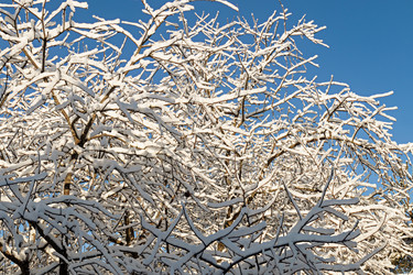 Similar image 20983575