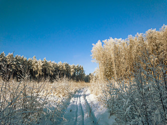 Similar image 20983583