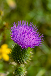 Similar image 20983448