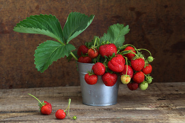 Similar image 20994876