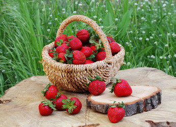 Similar image 20994879