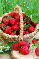 Similar image 20994880