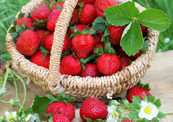 Similar image 20994881