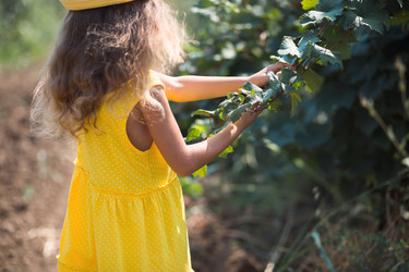 Similar image 20984023