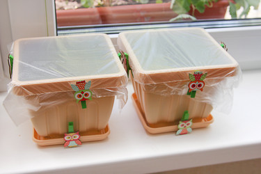 Similar image 20978935