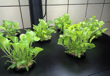 Similar image 20978936