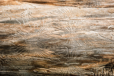 Similar image 20994274