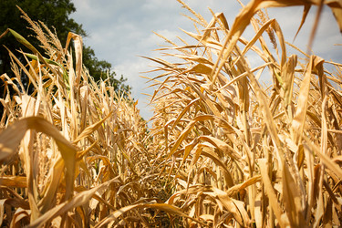 Similar image 20996429