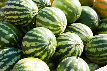 Similar image 20982272