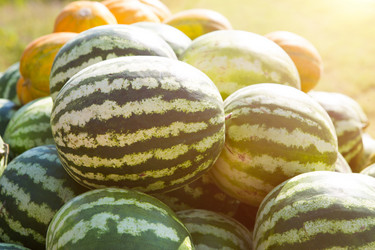 Similar image 20982273