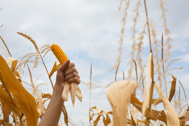 Similar image 20982274