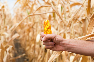 Similar image 20982293