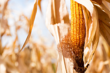 Similar image 20994128