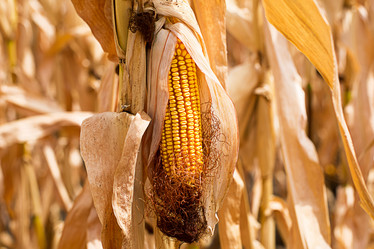 Similar image 20996432