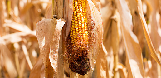 Similar image 20996433