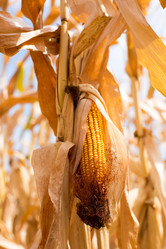 Similar image 20982339