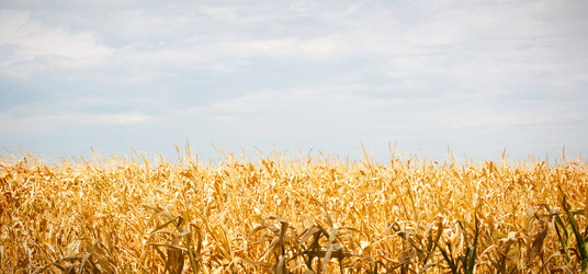 Similar image 20982341