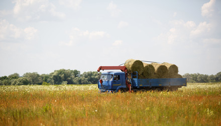 Similar image 20982443