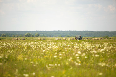 Similar image 20994319