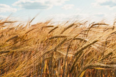 Similar image 21018372