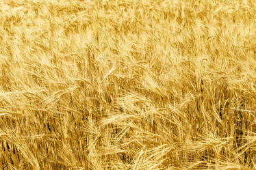 Similar image 20978362