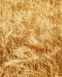 Similar image 20976650