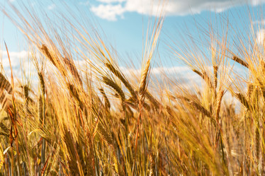 Similar image 20978363