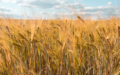 Similar image 20978365