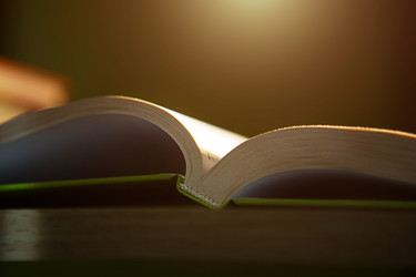 Similar image 20985026