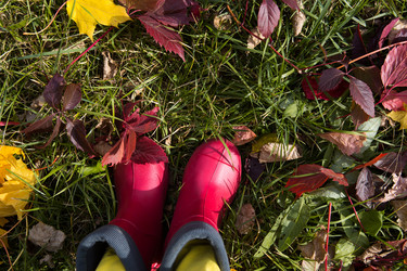 Similar image 20982451