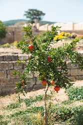 Similar image 20982627