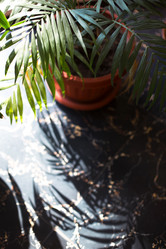 Similar image 20982630