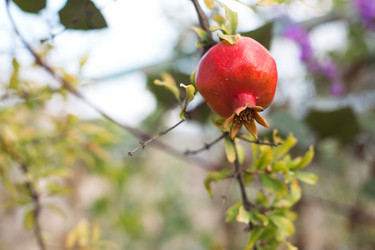 Similar image 20994336