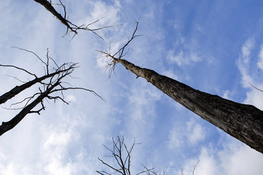 Similar image 20994339