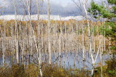 Similar image 20994341